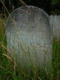 image of grave number 363088